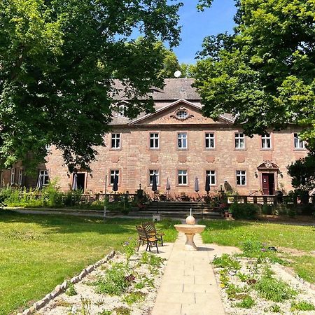 Schloss Zingst Querfurt 外观 照片