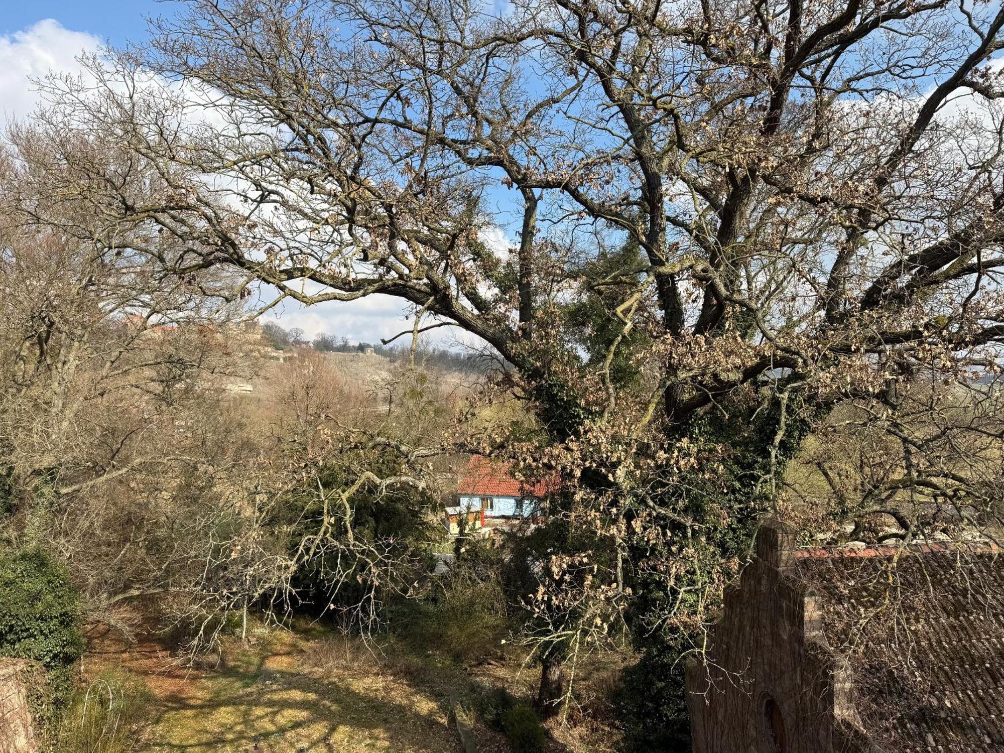 Schloss Zingst Querfurt 外观 照片