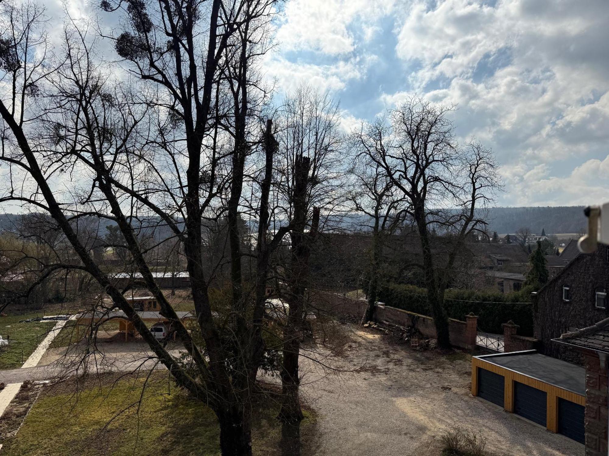 Schloss Zingst Querfurt 外观 照片